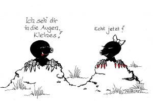 Bild